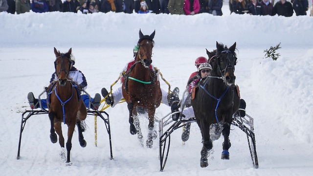 比赛中表现 比赛中表现