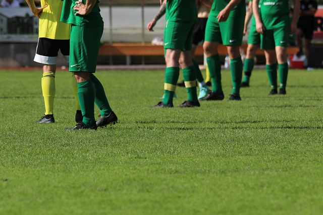 火箭队的进 火箭队的进