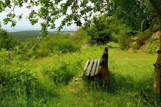 为何能够连 为何能够连