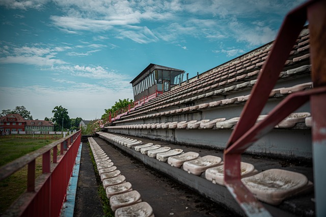 的美洲杯因 的美洲杯因