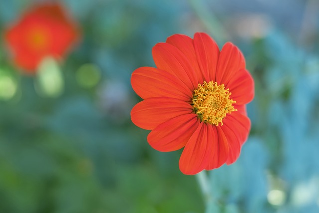 本场可能并 本场可能并