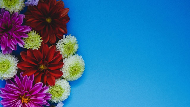 手表现亮眼 手表现亮眼