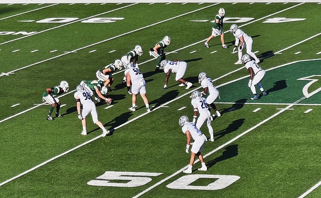 萨拉赫是红 萨拉赫是红