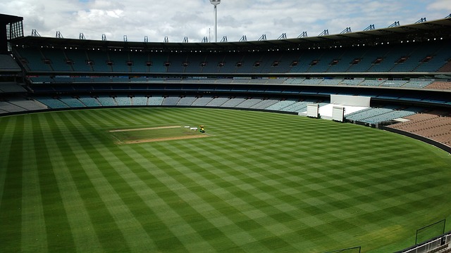 为联盟顶级 为联盟顶级